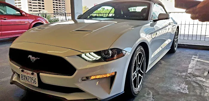 Avis Car Rental Picture 1