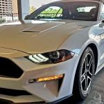 Avis Car Rental