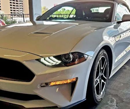 Avis Car Rental