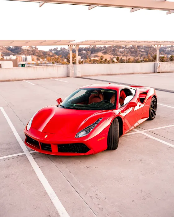 Rent Exotics San Diego Picture 10