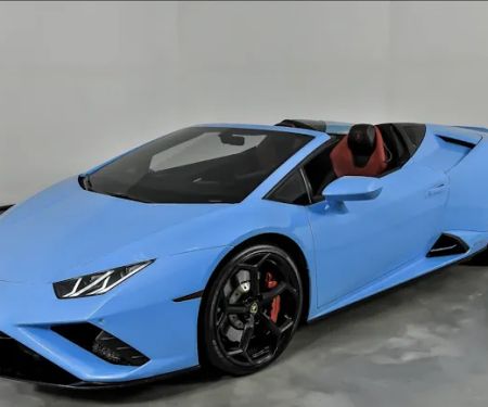 Luxury Sports & Exotics Rentals
