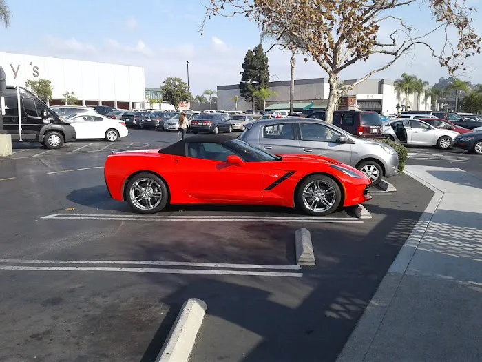 Exotic Car Collection by Enterprise Picture 2
