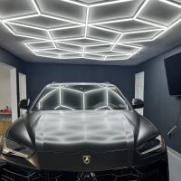 Ace Luxury Exotics ico