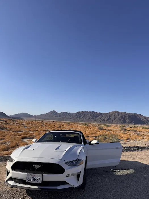 Dirt Cheap Car Rental Picture 7
