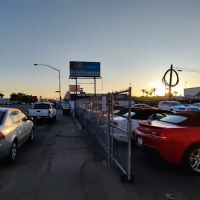 Dirt Cheap Car Rental ico