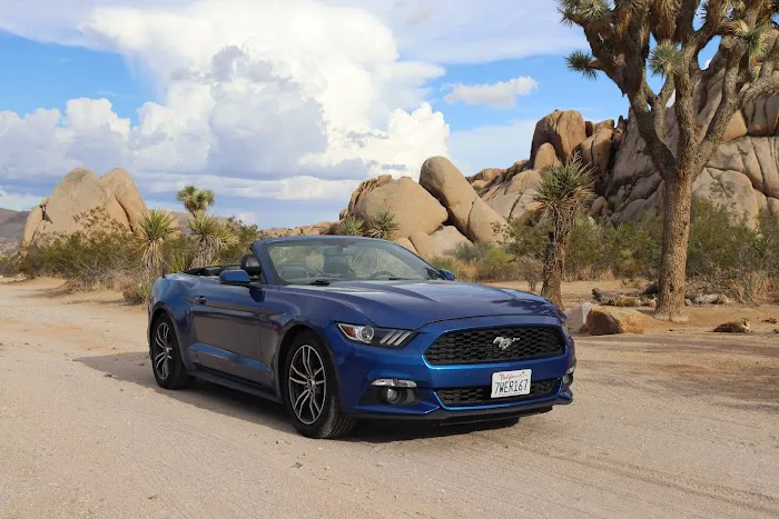 Dirt Cheap Car Rental Picture 8