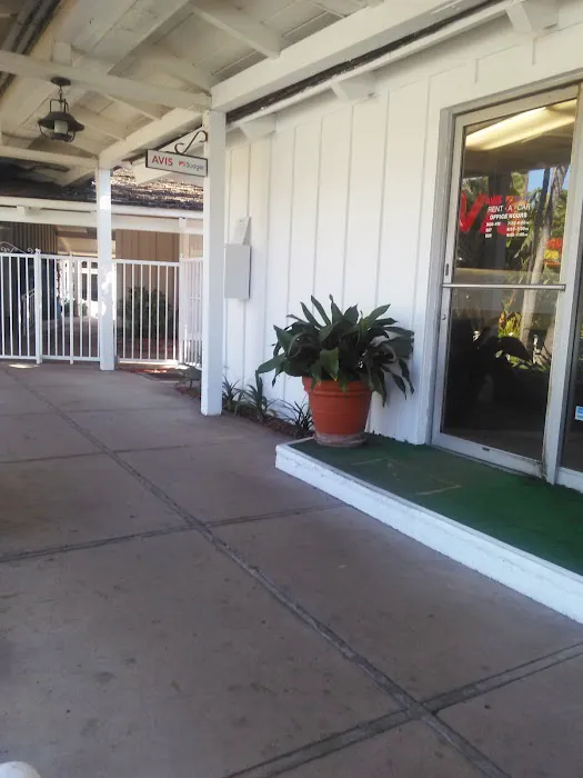 Avis Car Rental Picture 5