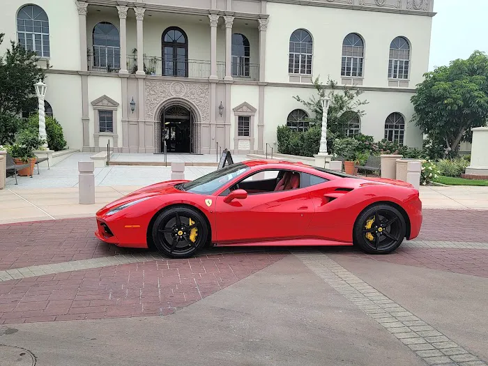 Studinovski Exotics Picture 7