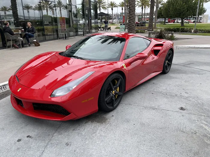 Studinovski Exotics Picture 4