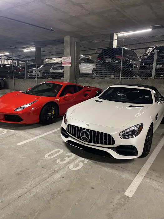 Studinovski Exotics Picture 2