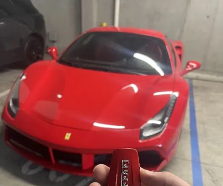 Studinovski Exotics