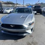 Safi Cars Rental, Inc