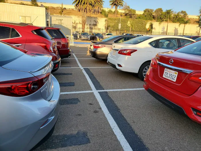 Hertz Uber Picture 2