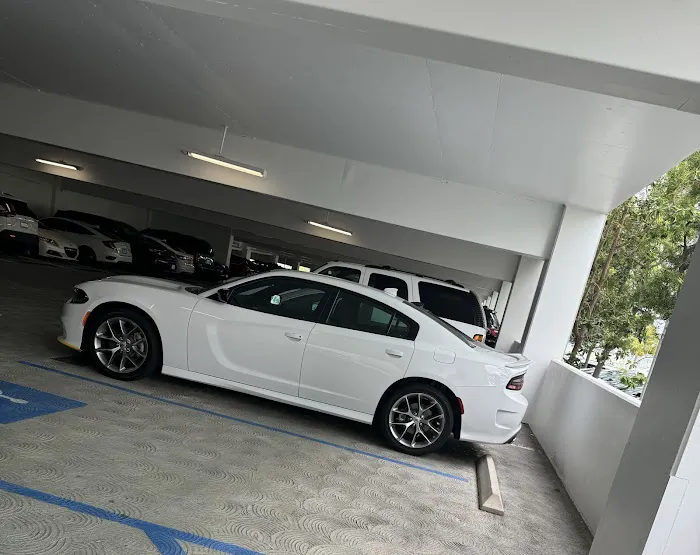 RentalZone Rent-A-Car Picture 9