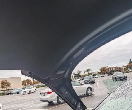 Avis Car Rental