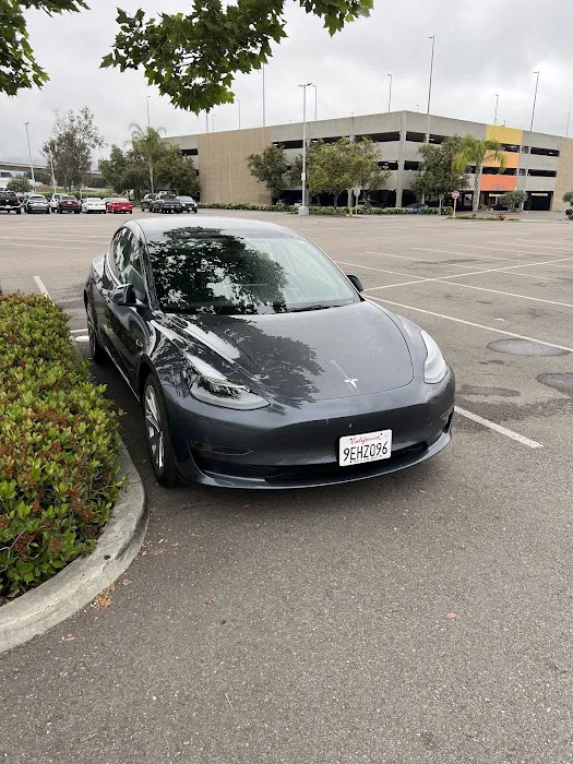 Avis Car Rental Picture 6