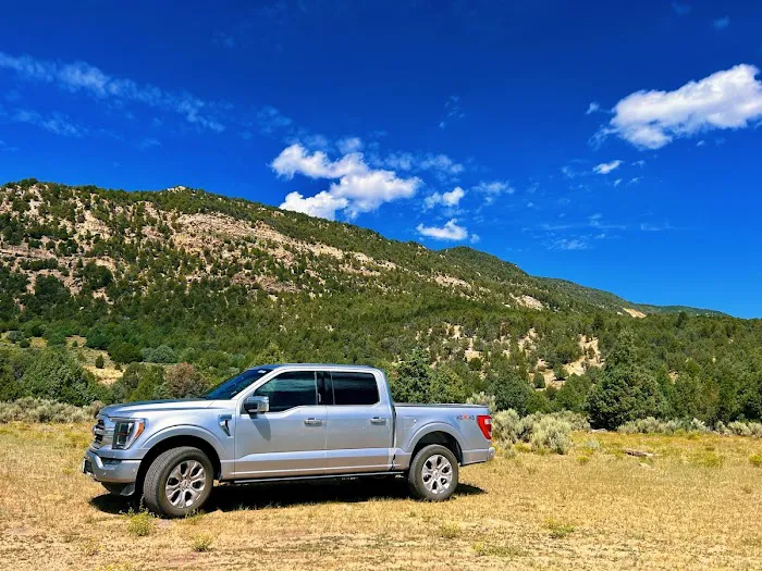 Avis Car Rental Picture 3