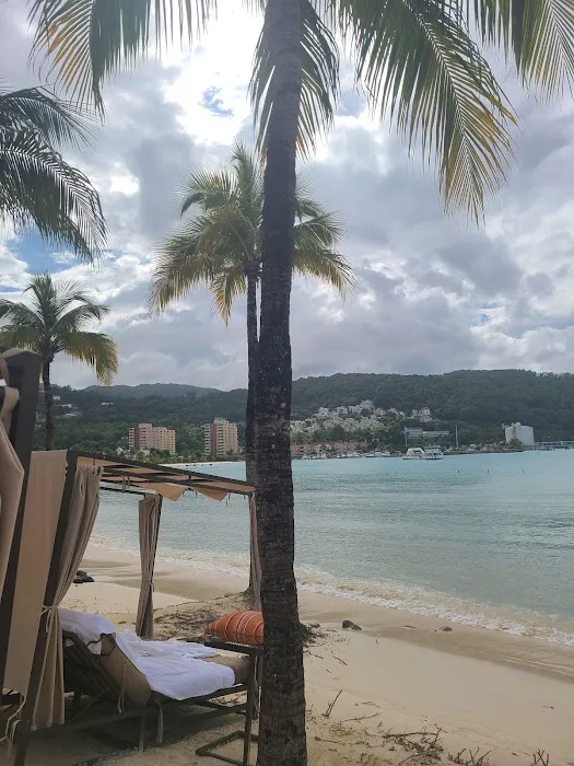 Diplomat Travel Picture 5