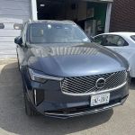 Avis Car Rental