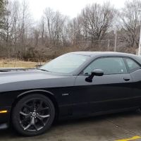 Avis Car Rental ico