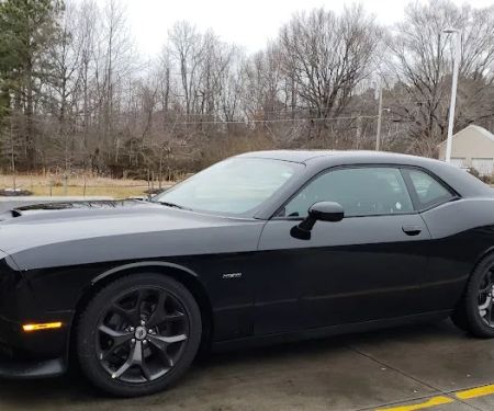 Avis Car Rental