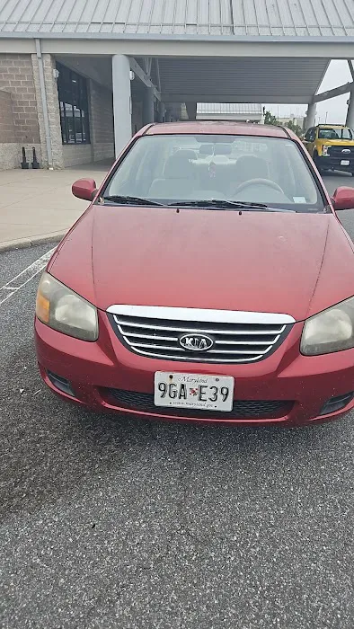 Avis Car Rental Picture 6