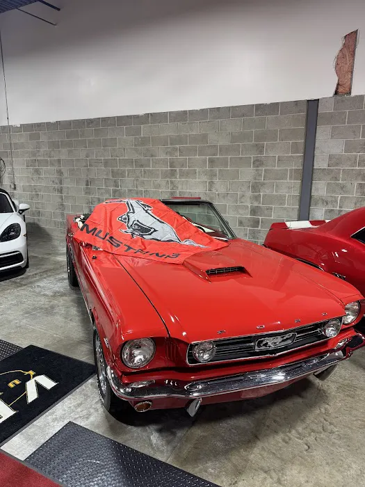 VELOCITY Luxury and Classic Rentals Picture 9