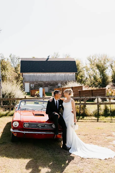 VELOCITY Luxury and Classic Rentals Picture 7