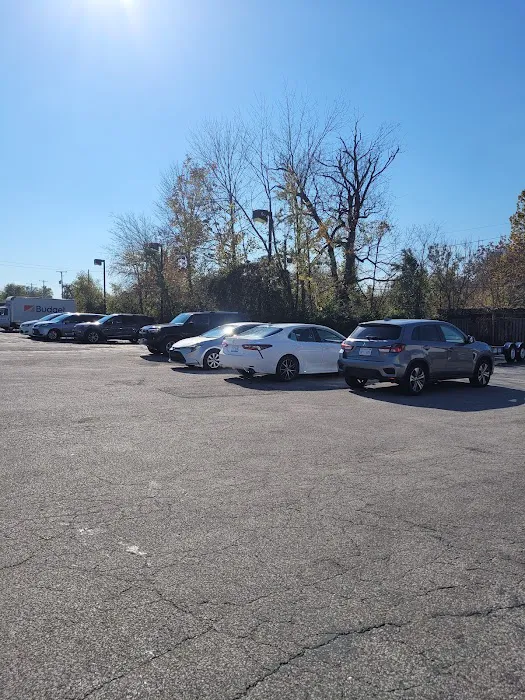Budget Car Rental Picture 4