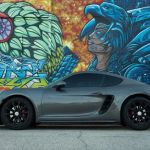Le'xotic Car Rental