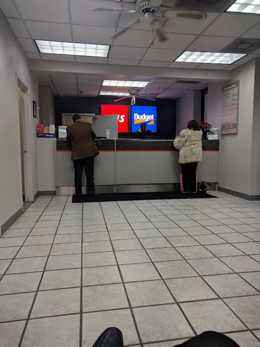 Budget Car Rental Picture 2