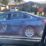 Dollar Car Rental - Dsh Galleria Houston