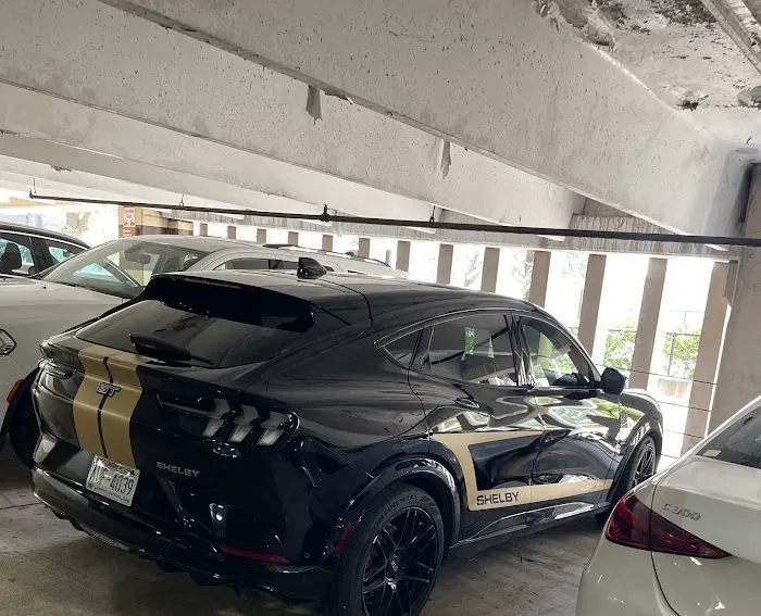 Hertz Car Rental - Houston - Westin Galleria Hotel Picture 6