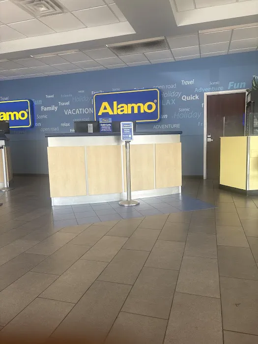 Alamo Rent A Car Picture 6