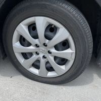 Payless Car Rental ico