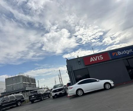 Avis Car Rental