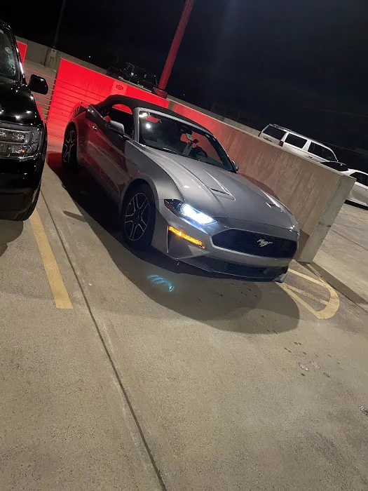 Avis Car Rental Picture 5