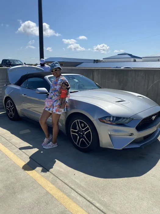 Avis Car Rental Picture 1