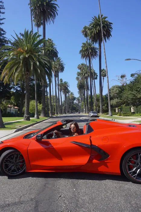 iExotic - Houston Exotic Car Rental Picture 1