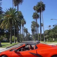 iExotic - Houston Exotic Car Rental ico