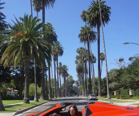 iExotic - Houston Exotic Car Rental
