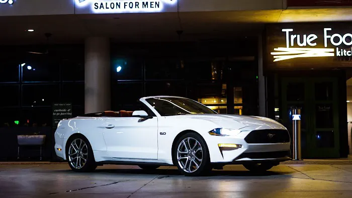 Executive Whips Houston Picture 2