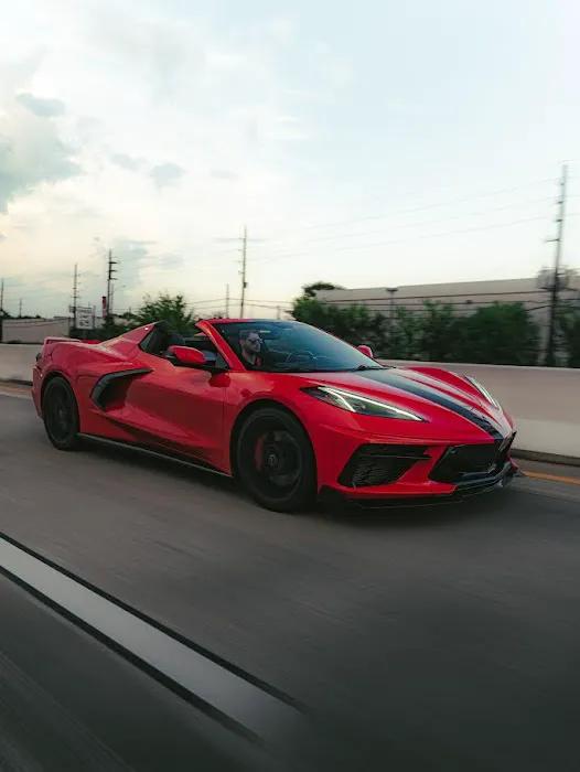 RAN Exotics Picture 3