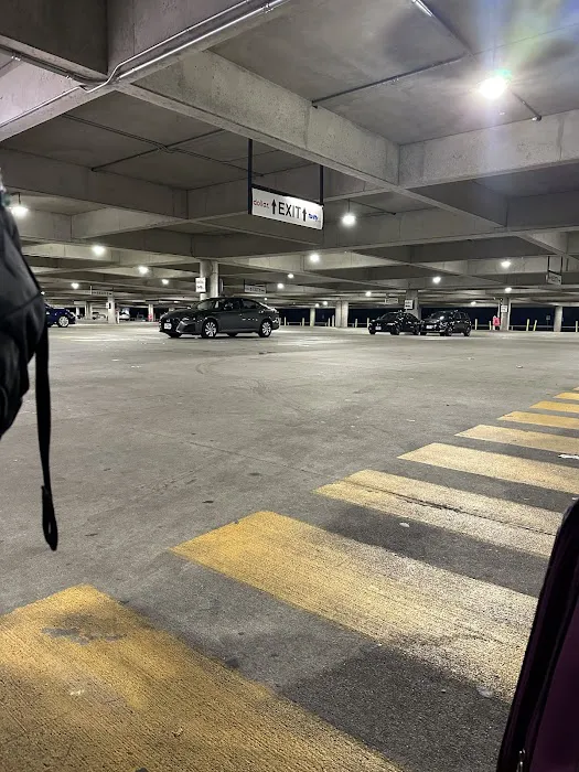 Thrifty Car Rental - Houston - George Bush Intercontinental Aiport Picture 7