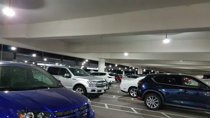 Alamo Rent A Car Picture 1