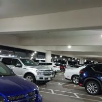 Alamo Rent A Car ico