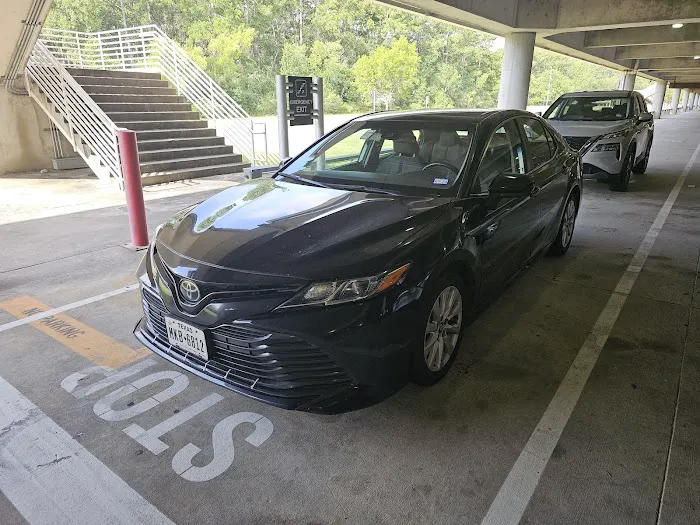 Budget Car Rental Picture 1