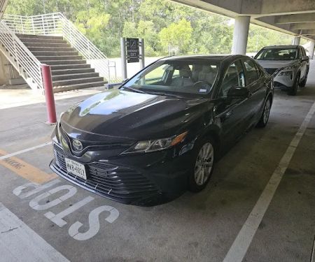 Budget Car Rental