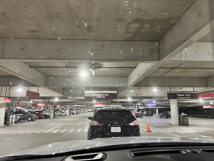 Budget Car Rental Picture 6
