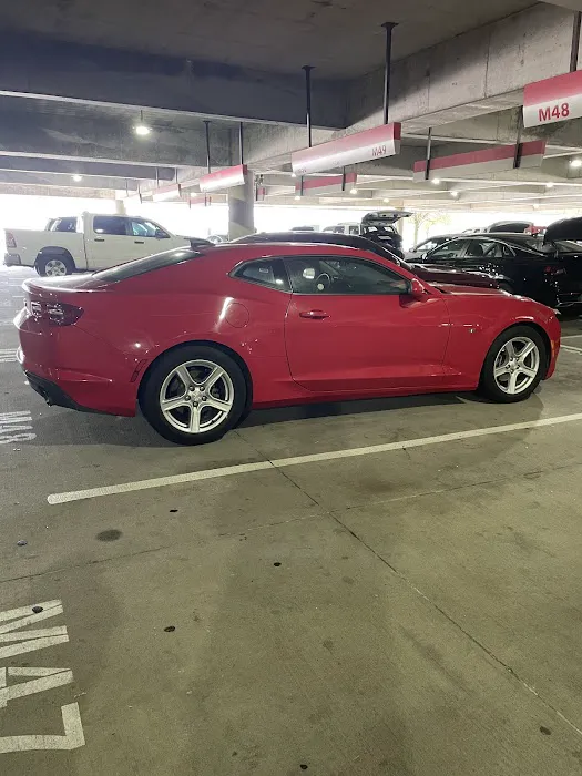 Payless Car Rental Picture 8